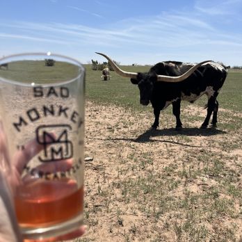 Sad Monkey Mercantile - Sour Beer (mostly gone because it was delicious) and a super photogenic longhorn. - Outdoor Gear Near Me - Canyon, Texas Sad Monkey Mercantile - Sour Beer (mostly gone because it was delicious) and a super photogenic longhorn. - Outdoor Gear Near Me - Canyon, Texas