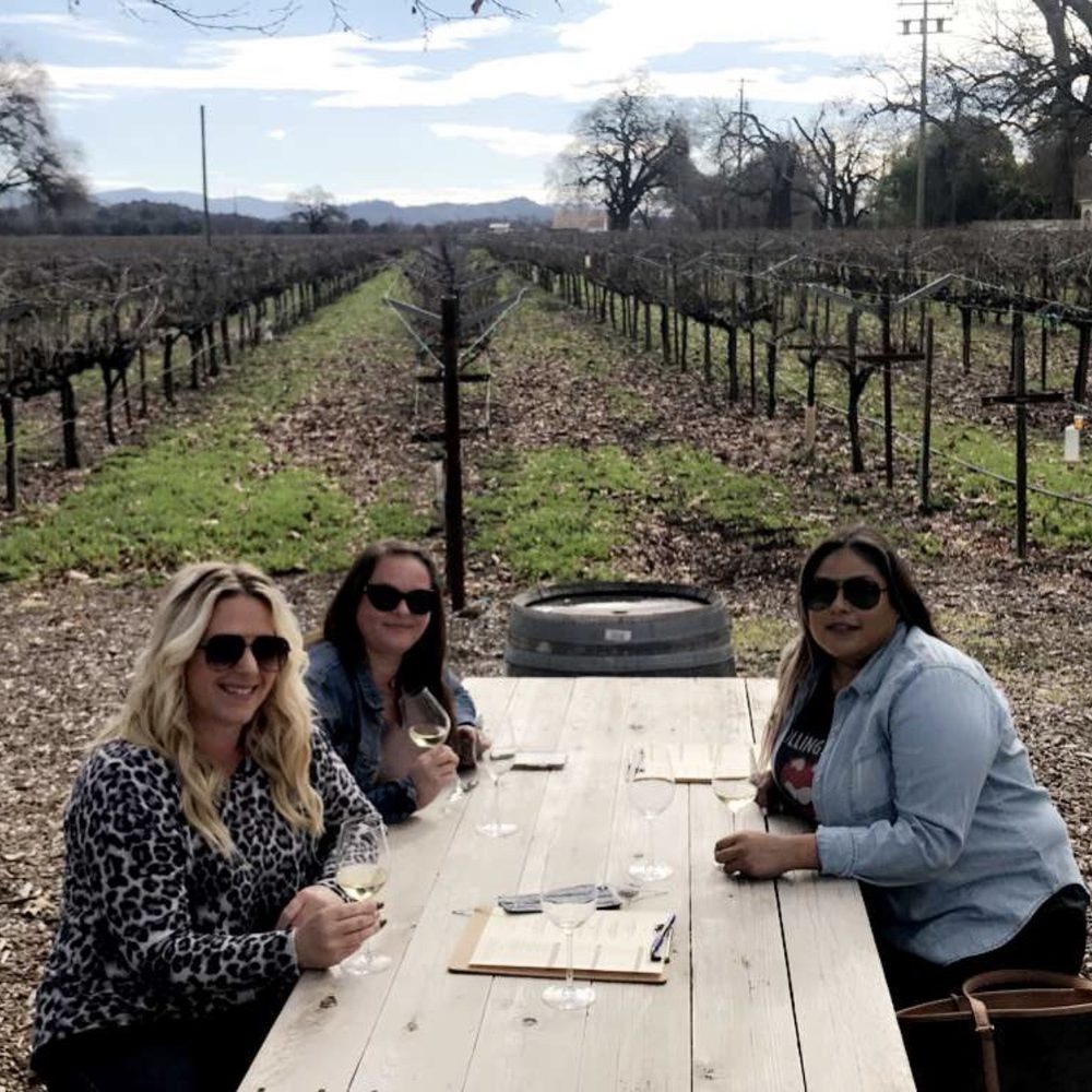 Saddleback Cellars - Fun tasting at Saddleback Cellars! - Wine Tasting Room Near Me - Oakville, California Saddleback Cellars - Fun tasting at Saddleback Cellars! - Wine Tasting Room Near Me - Oakville, California