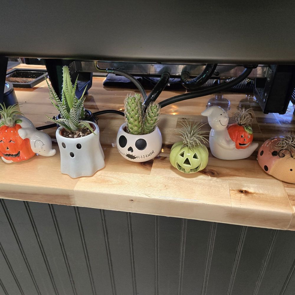 Gremlin Garage - Cute little plants by coffee bar station - Coffee & Tea Near Me - Costa Mesa, California Gremlin Garage - Cute little plants by coffee bar station - Coffee & Tea Near Me - Costa Mesa, California