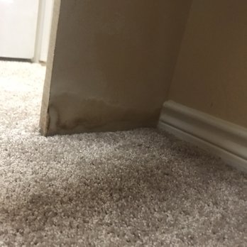 BPG Property Inspections - Home Inspectors Near Me