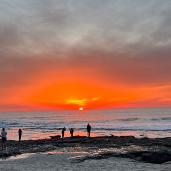 La Jolla Tide Pools - Beaches Near Me - La Jolla, California La Jolla Tide Pools - Beaches Near Me - La Jolla, California