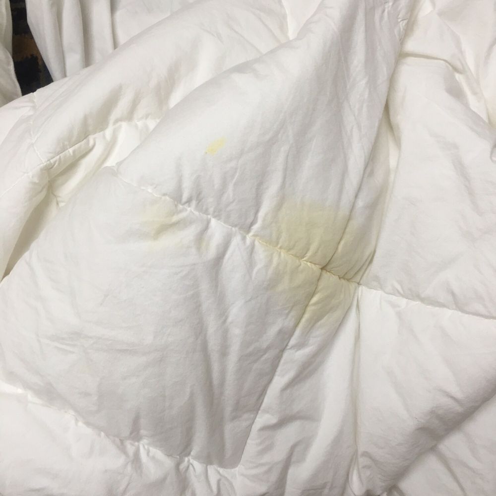 Quality Inn & Suites - Stained bedding - Hotels Near Me - Coldwater, Michigan Quality Inn & Suites - Stained bedding - Hotels Near Me - Coldwater, Michigan