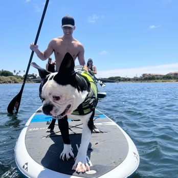 SUP Pups - Paddleboarding Near Me - San Diego, California