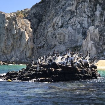 Kelly Boat Cabo - Whale Watching Tours Near Me - Cabo San Lucas, BCS