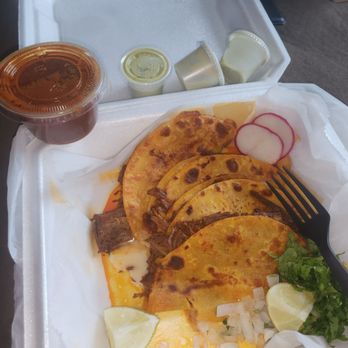 Little Cancun - Birria Taco Plate - Mexican Near Me - Humble, Texas Little Cancun - Birria Taco Plate - Mexican Near Me - Humble, Texas