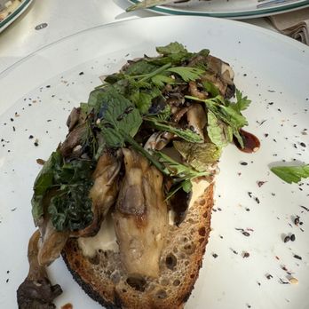 Highly Likely - Toast - Breakfast & Brunch Near Me - Los Angeles, California