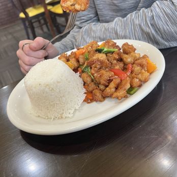 Palm Garden Thai Cuisine - Orange Chicken - Thai Near Me - Aberdeen, South Dakota Palm Garden Thai Cuisine - Orange Chicken - Thai Near Me - Aberdeen, South Dakota