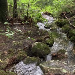 Newfound Lake Inn - Hiking nearby.