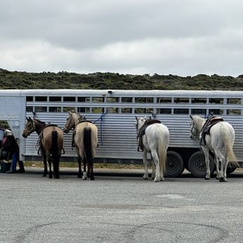 Monterey Bay Equestrian Center - After the ride, Mike was preparing water for the horses. - Horseback Riding Near Me - Castroville, California Monterey Bay Equestrian Center - After the ride, Mike was preparing water for the horses. - Horseback Riding Near Me - Castroville, California
