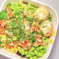 The Poké Box - Byo bowl