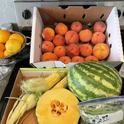 Evergreen Farmers Market - My haul! (Minus the local honey)