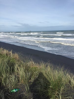 Muriwai by null