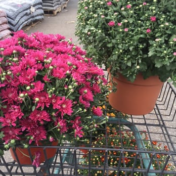 Fairless Hills Garden Center - Home & Garden Near Me - Fairless Hills, Pennsylvania Fairless Hills Garden Center - Home & Garden Near Me - Fairless Hills, Pennsylvania