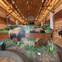 bison center