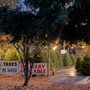Photo of Hansen's Christmas Trees