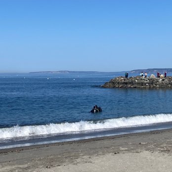 Brackett's Landing - Strong waves. And people going diving. - Parks Near Me - Edmonds, Washington Brackett's Landing - Strong waves. And people going diving. - Parks Near Me - Edmonds, Washington