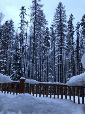 Kimberley Alpine Resort by null
