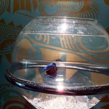 The Pearl Hotel - Fish bowl on a wall - really groovy - San Diego, CA