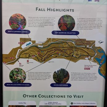 Washington Park Arboretum - Parks Near Me - Seattle, Washington Washington Park Arboretum - Parks Near Me - Seattle, Washington