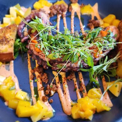 Octopus Baja by null