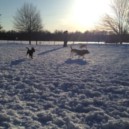 Snow day!