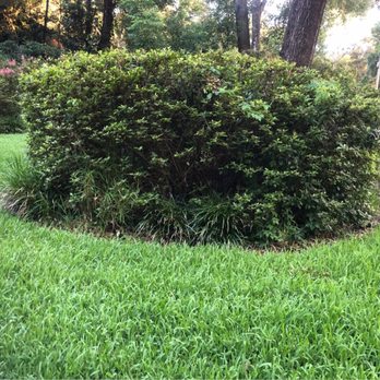 McMaster Lawn & Pest Services - Before McMaster - Landscaping Near Me - De Leon Springs, Florida McMaster Lawn & Pest Services - Before McMaster - Landscaping Near Me - De Leon Springs, Florida
