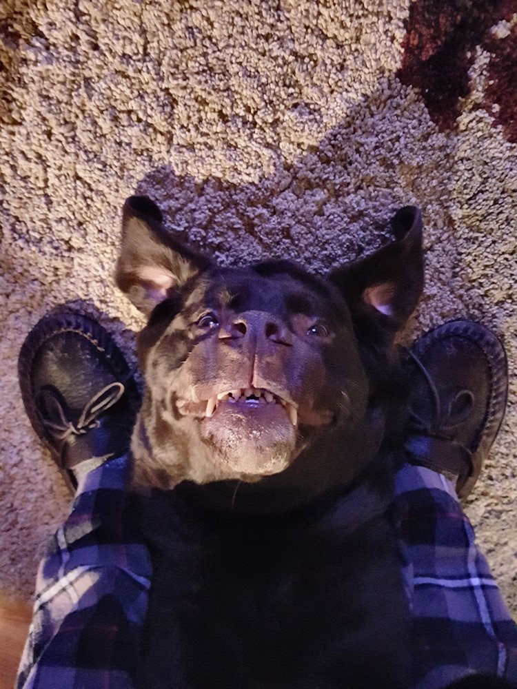 CLAPPISON ANIMAL HOSPITAL Updated October 2024 780 Highway 6 N