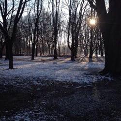 Park Powstańców Warszawy - Trochę zimowo ;)