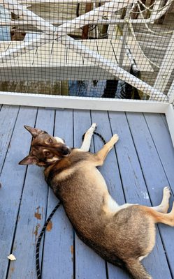 Bahrs Landing Famous Seafood Restaurant & Marina by null