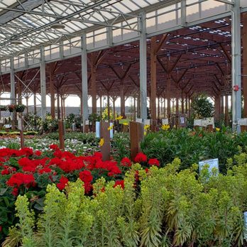 Green Acres Nursery & Supply - large covered nusery - Nurseries & Gardening Near Me - Rocklin, California Green Acres Nursery & Supply - large covered nusery - Nurseries & Gardening Near Me - Rocklin, California