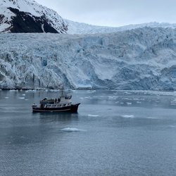 Aialik Glacier