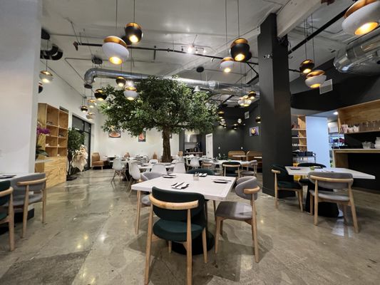 Baby Cafe San Leandro by null