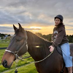 Healthy Mind & Horse Time