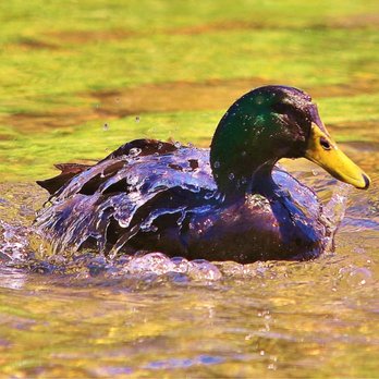 Crescent Bend Nature Park - Parks Near Me - Schertz, Texas