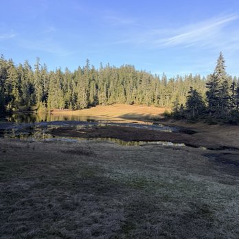Icy Strait Point - Little pond at top - Travel Services Near Me - Hoonah, Alaska Icy Strait Point - Little pond at top - Travel Services Near Me - Hoonah, Alaska