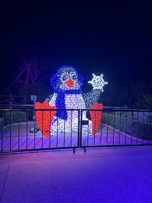 Christmas Town Tampa Bay by null