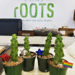 Roots