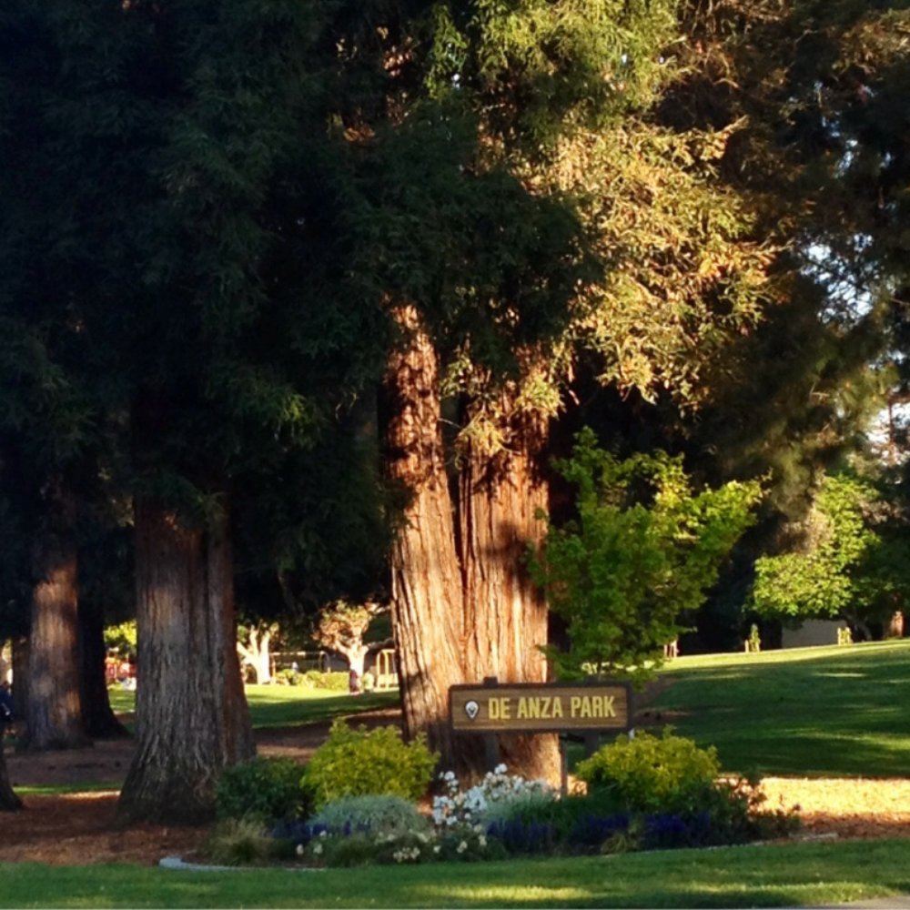 De Anza Park - Beautiful park - Parks Near Me - Sunnyvale, California De Anza Park - Beautiful park - Parks Near Me - Sunnyvale, California