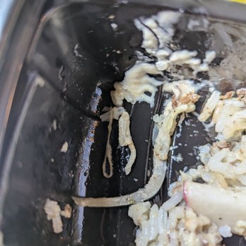 Pita Thyme - Different sized worms in the beef shawarma with rice - Lebanese Near Me - Boston, Massachusetts