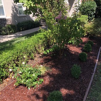 Jose Luis Landscape - Side yard - Landscaping Near Me Jose Luis Landscape - Side yard - Landscaping Near Me