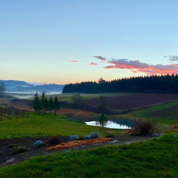 Domaine Divio - Sunset at Domaine Divio - Wine Tasting Room Near Me - Newberg, Oregon Domaine Divio - Sunset at Domaine Divio - Wine Tasting Room Near Me - Newberg, Oregon