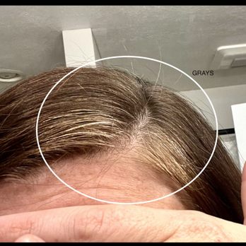 Rejuve Salon Spa - No gray coverage - this is right after the "service" - Hair Salons Near Me - Carmel, Indiana Rejuve Salon Spa - No gray coverage - this is right after the "service" - Hair Salons Near Me - Carmel, Indiana