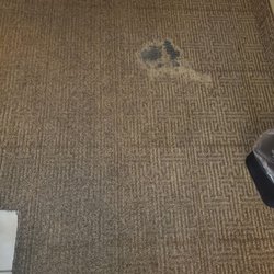 Comfort Inn & Suites Airport-American Way - See for yourself.