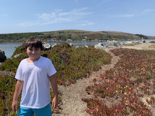 Doran Regional Park 538 Photos 111 Reviews Parks 1 Doran Beach Rd Bodega Bay Ca Phone Number Yelp