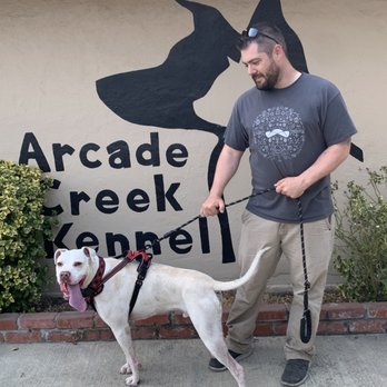 Arcade Creek Kennels - Pet Sitting Near Me - Sacramento, California Arcade Creek Kennels - Pet Sitting Near Me - Sacramento, California
