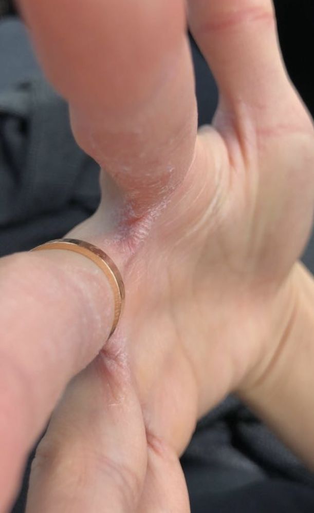 HB Light Energy Healing Logo