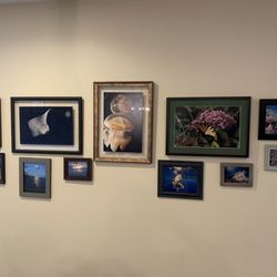 Michaels - Photos that I have taken from around the world.