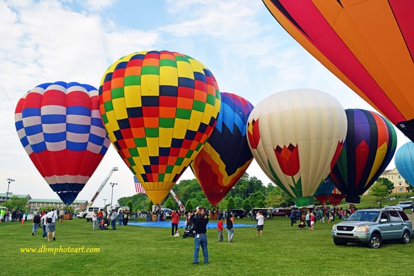 Pimlico Race Course by null