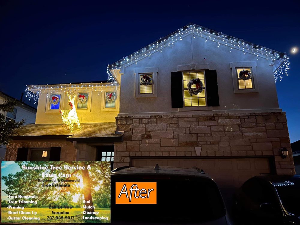 SUNSHINE TREE SERVICE Updated September 2024 15 Photos TX, Texas