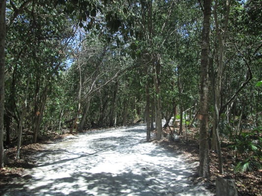 Jardín Botanico Dr. Alfredo Barrera Marín by null